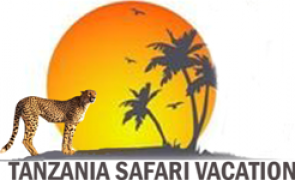 Tanzania Safari Vacation